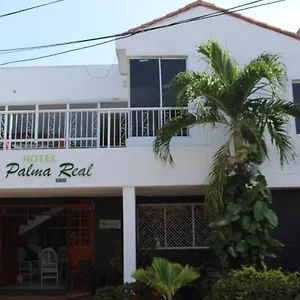 Palma Real Cartagena